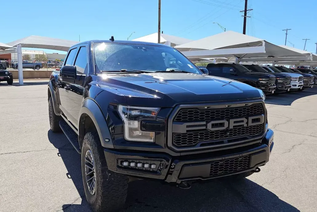 2019 Ford F-150 Raptor photo 1