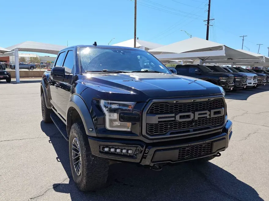 2019 Ford F-150 Raptor photo 1