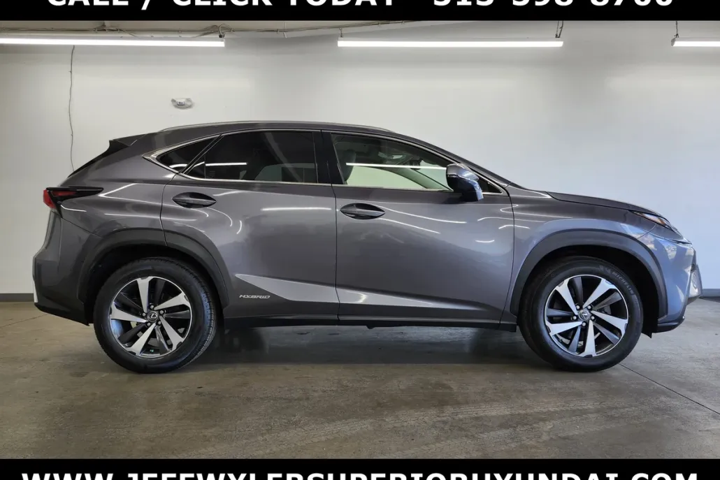 2019 Lexus NX 300h Luxury photo 1