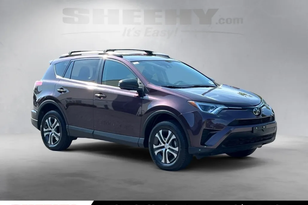 2018 Toyota RAV4 LE photo 1