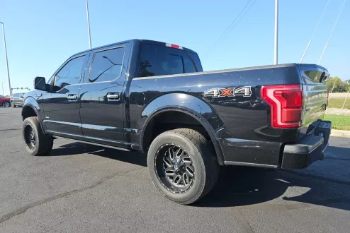 2016 Ford F-150 Platinum photo 2