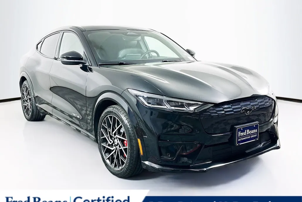 2021 Ford Mustang Mach-E GT photo 1