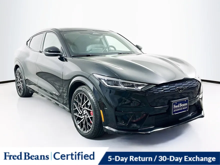 2021 Ford Mustang Mach-E GT photo 1
