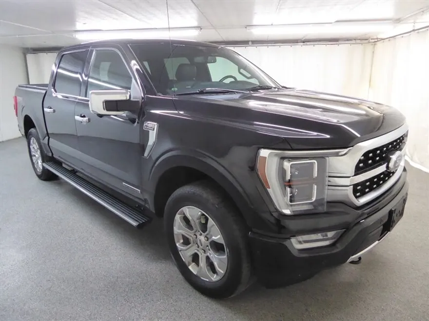 2021 Ford F-150 Platinum photo 1