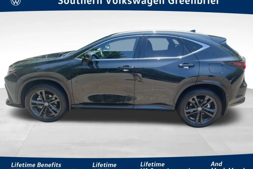 2024 Lexus NX 450h+ Luxury photo 1