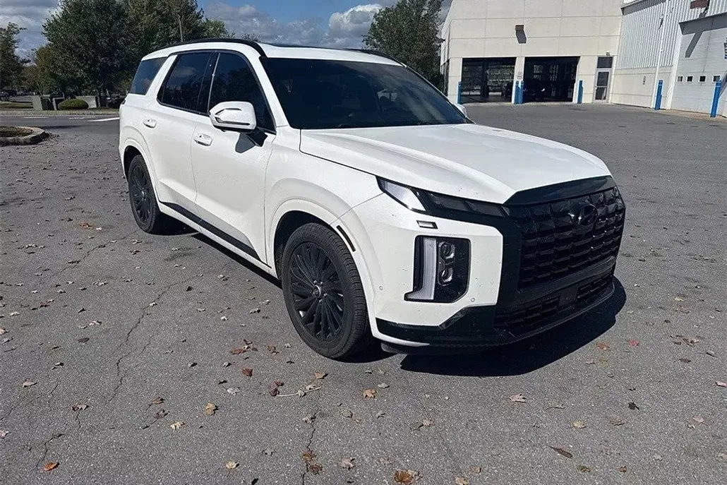 2024 Hyundai Palisade Calligraphy photo 1