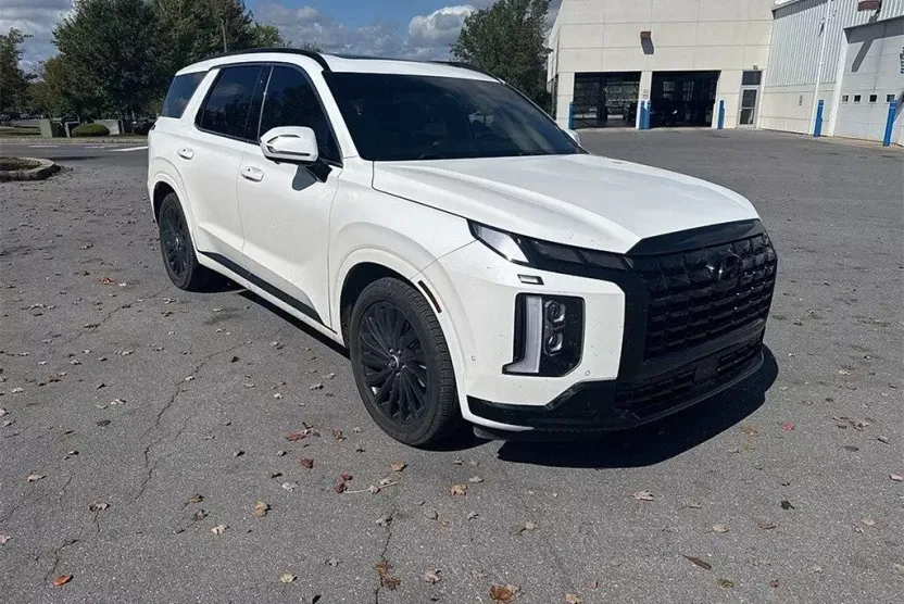 2024 Hyundai Palisade Calligraphy photo 1