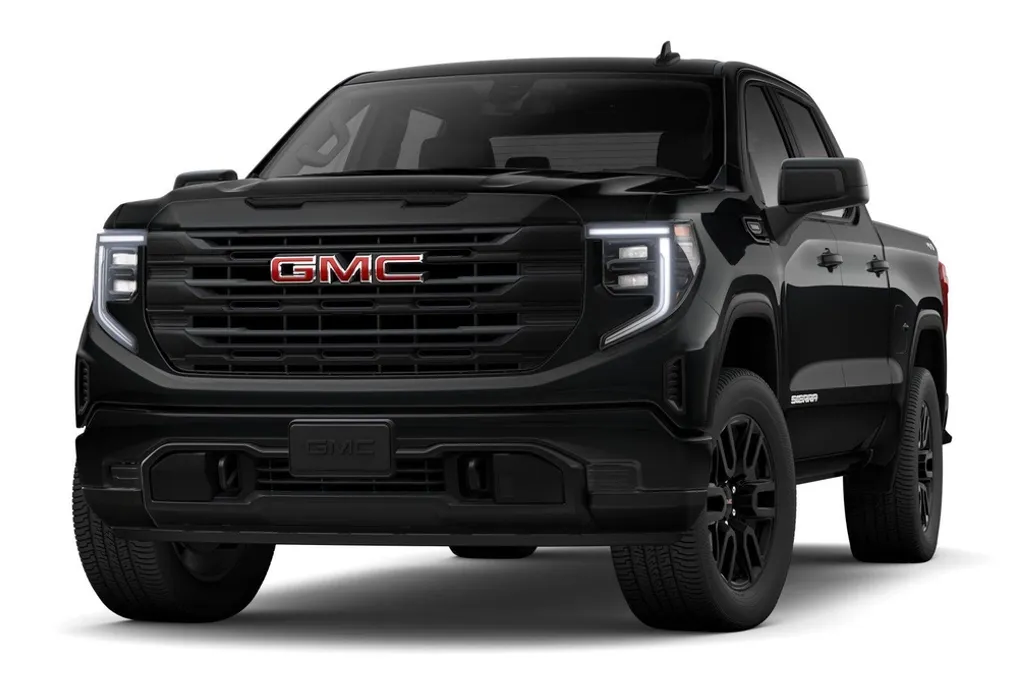 2025 Gmc Sierra 1500 Pro photo 1