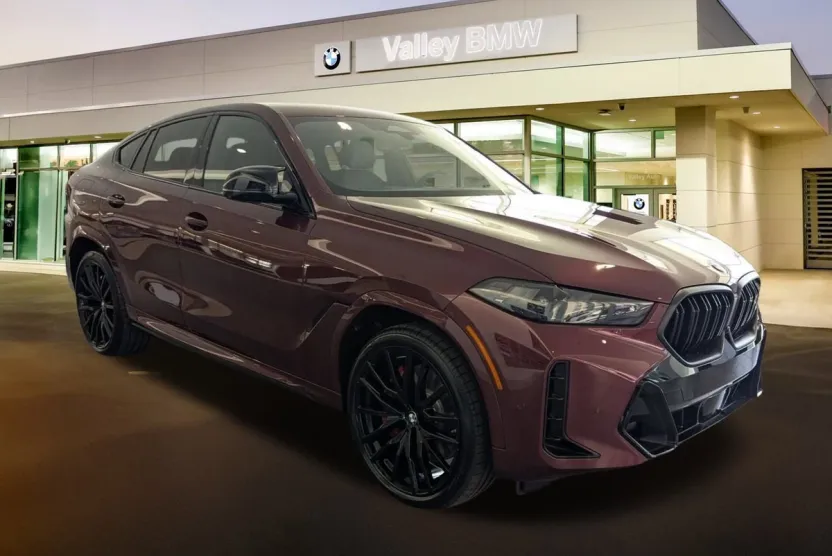 2026 Bmw X6 photo 1