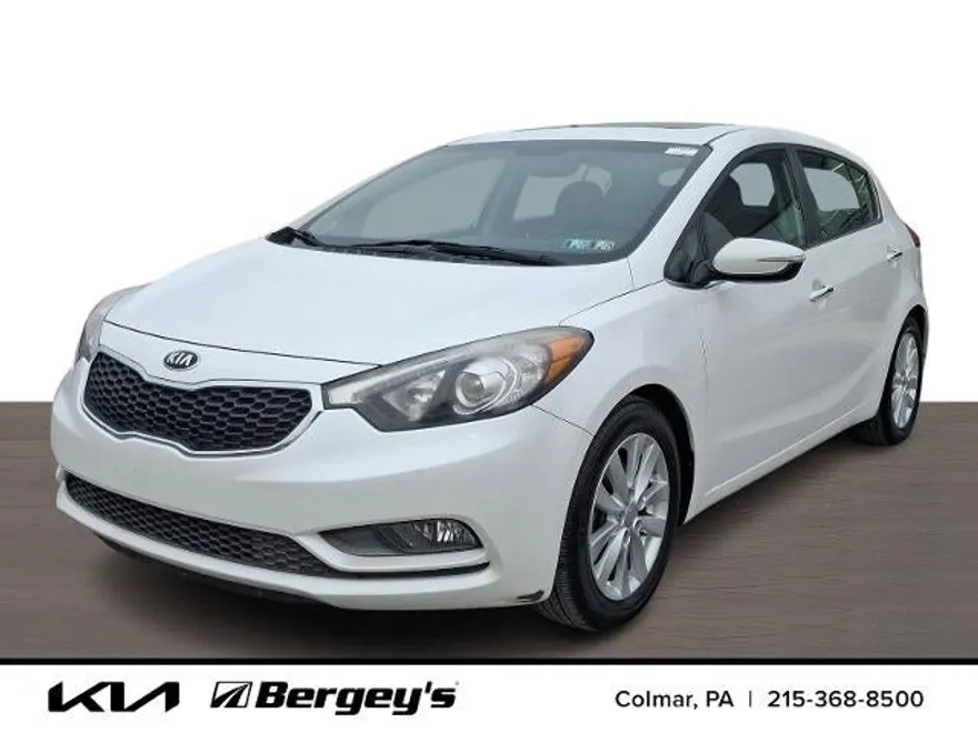 2015 Kia Forte EX photo 1