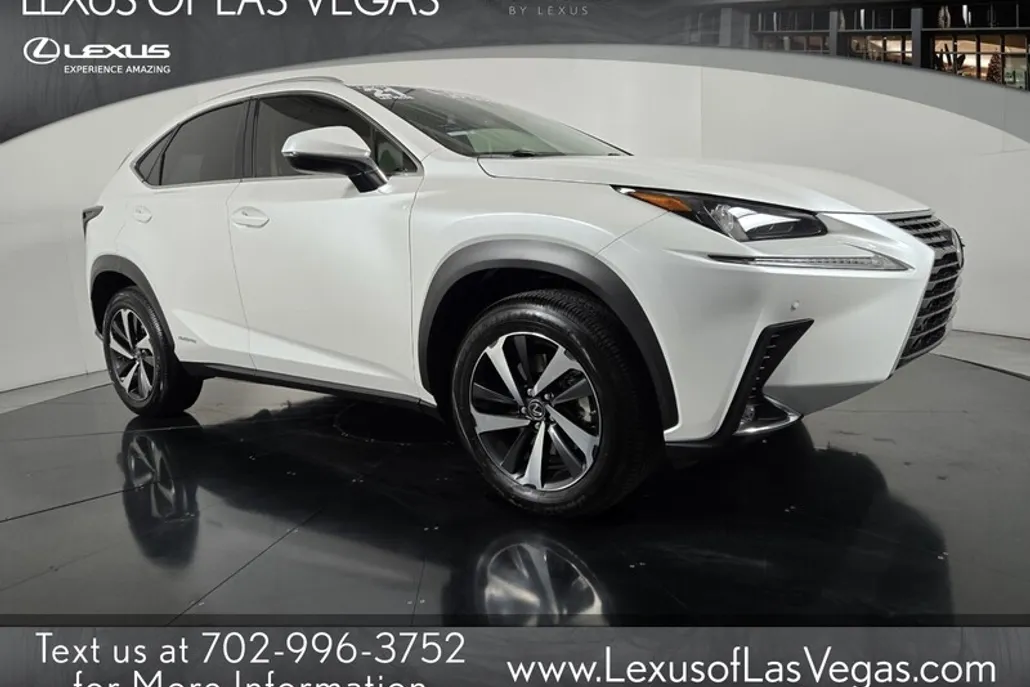 2021 Lexus NX 300h photo 1