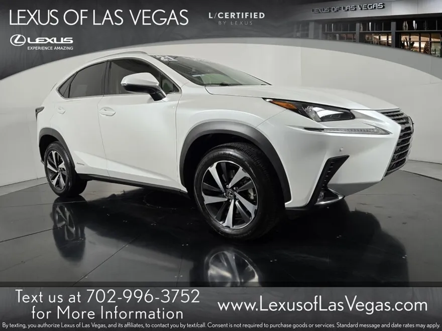 2021 Lexus NX 300h photo 1
