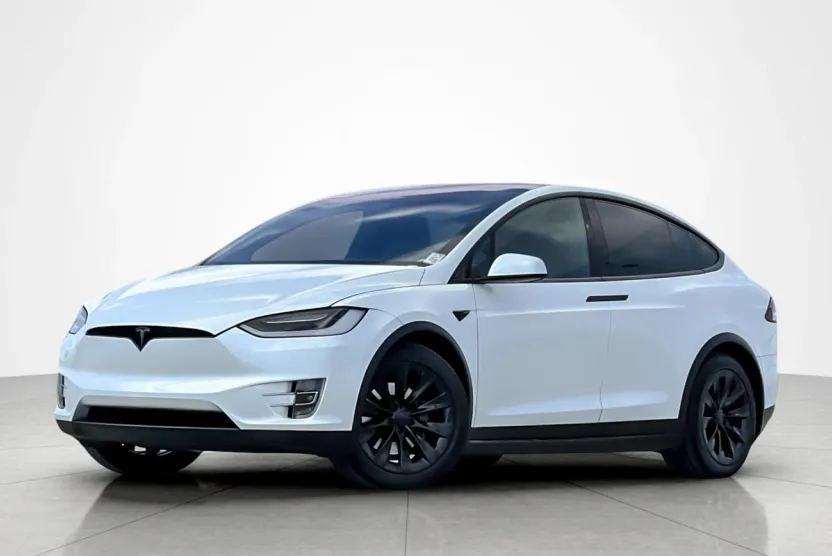 2019 Tesla Model X 100D photo 1