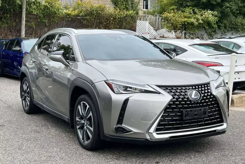 2021 Lexus UX 250h photo 1