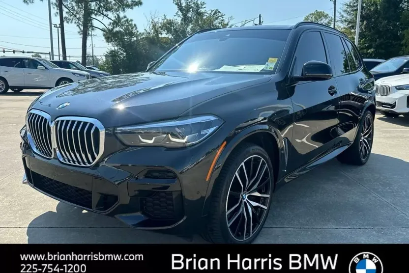 2023 Bmw X5 sDrive40i photo 1