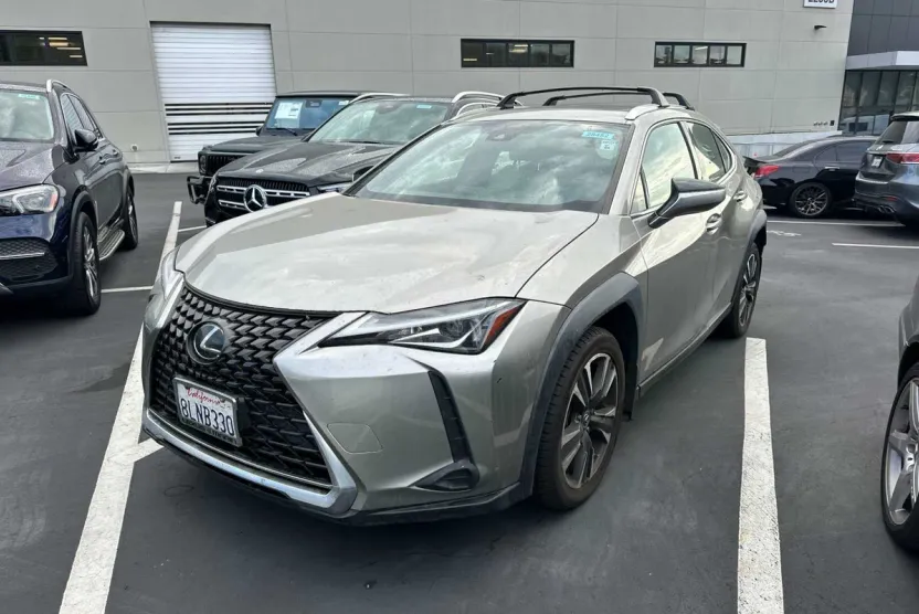 2019 Lexus UX 200 photo 1