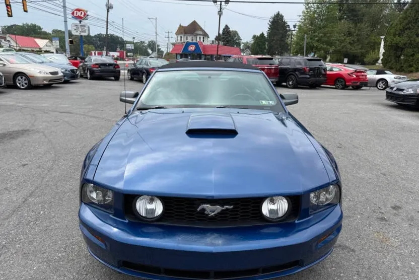 2008 Ford Mustang GT Premium photo 1