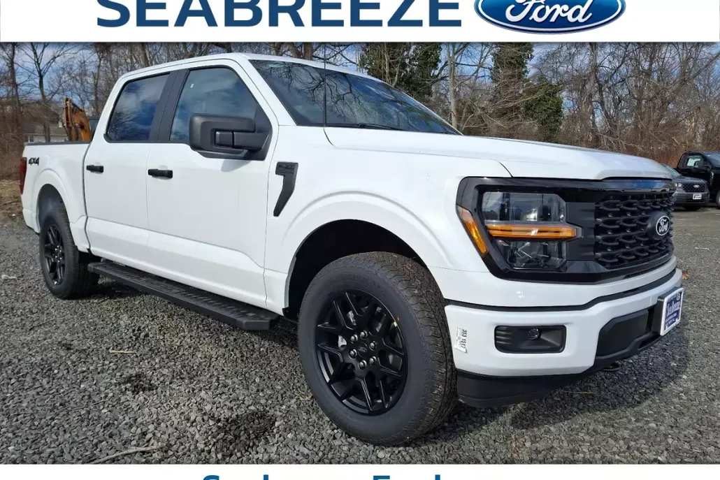 2025 Ford F-150 STX photo 1