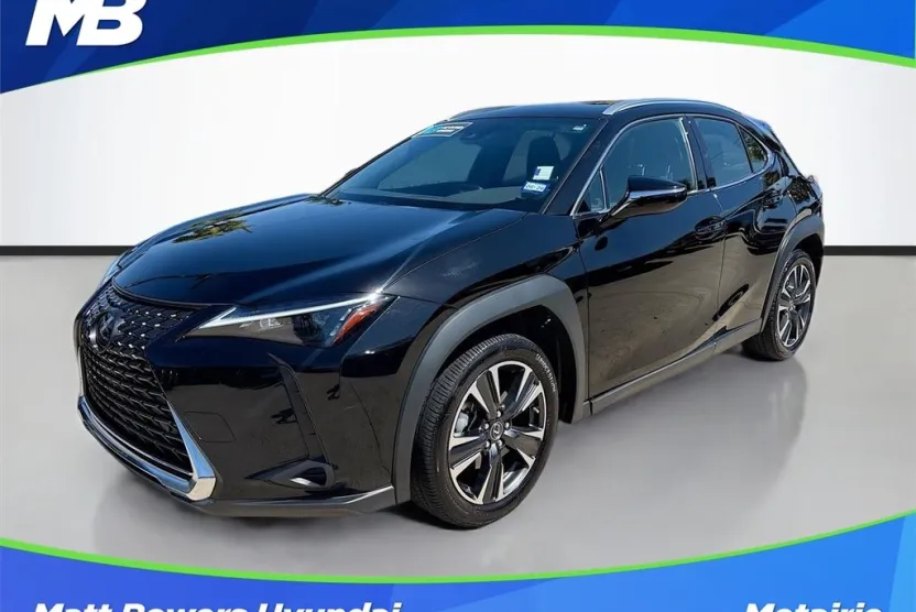 2024 Lexus UX 250h photo 1