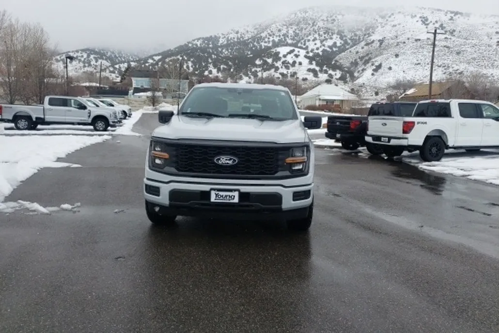 2025 Ford F-150 STX photo 1