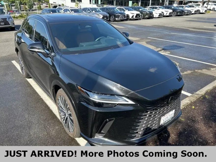 2023 Lexus RX 350 Premium photo 1