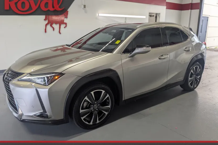 2021 Lexus UX 250h photo 1