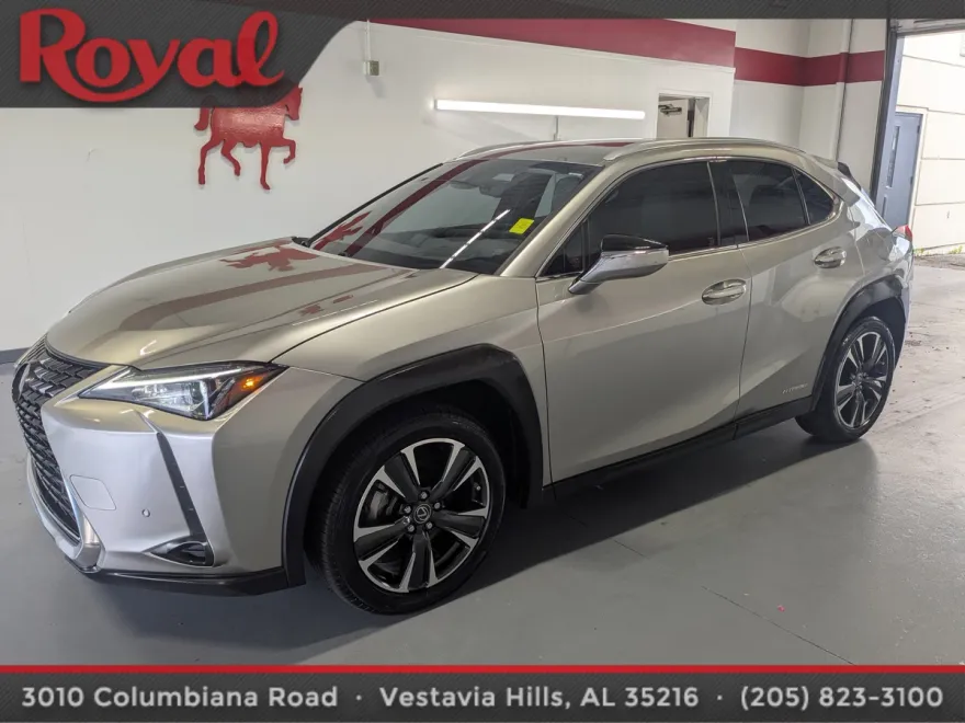 2021 Lexus UX 250h photo 1