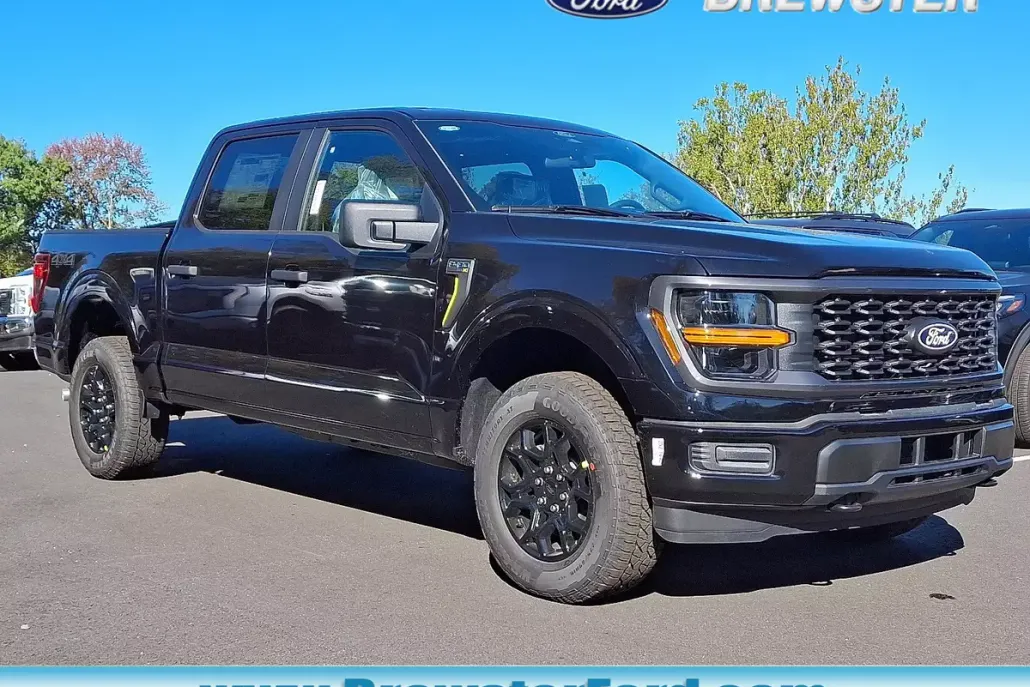 2025 Ford F-150 STX photo 1