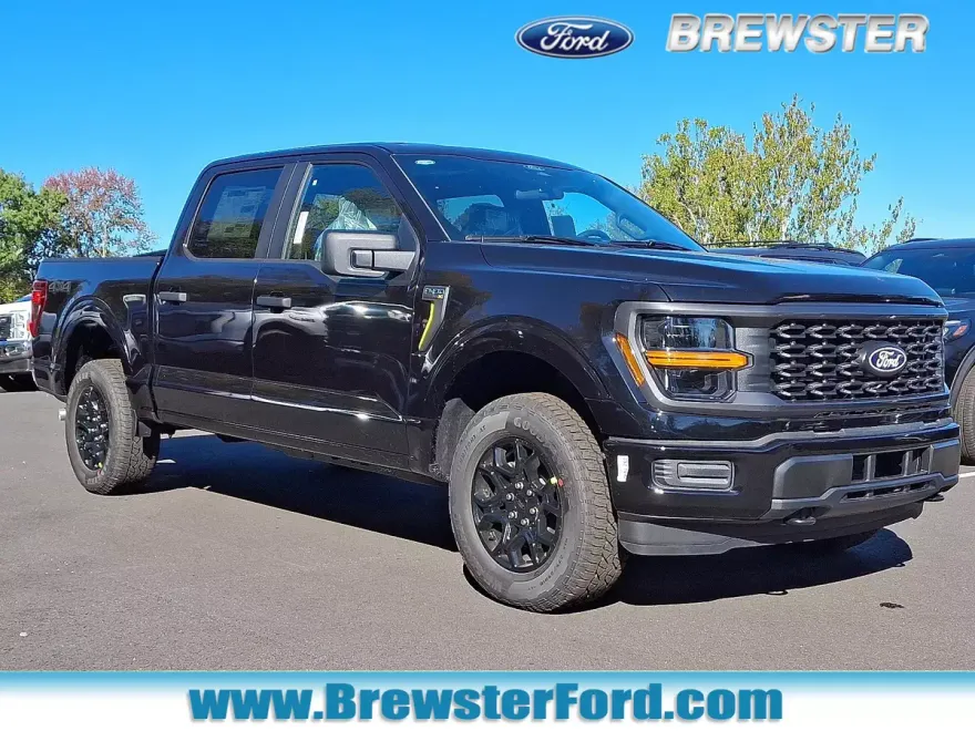 2025 Ford F-150 STX photo 1