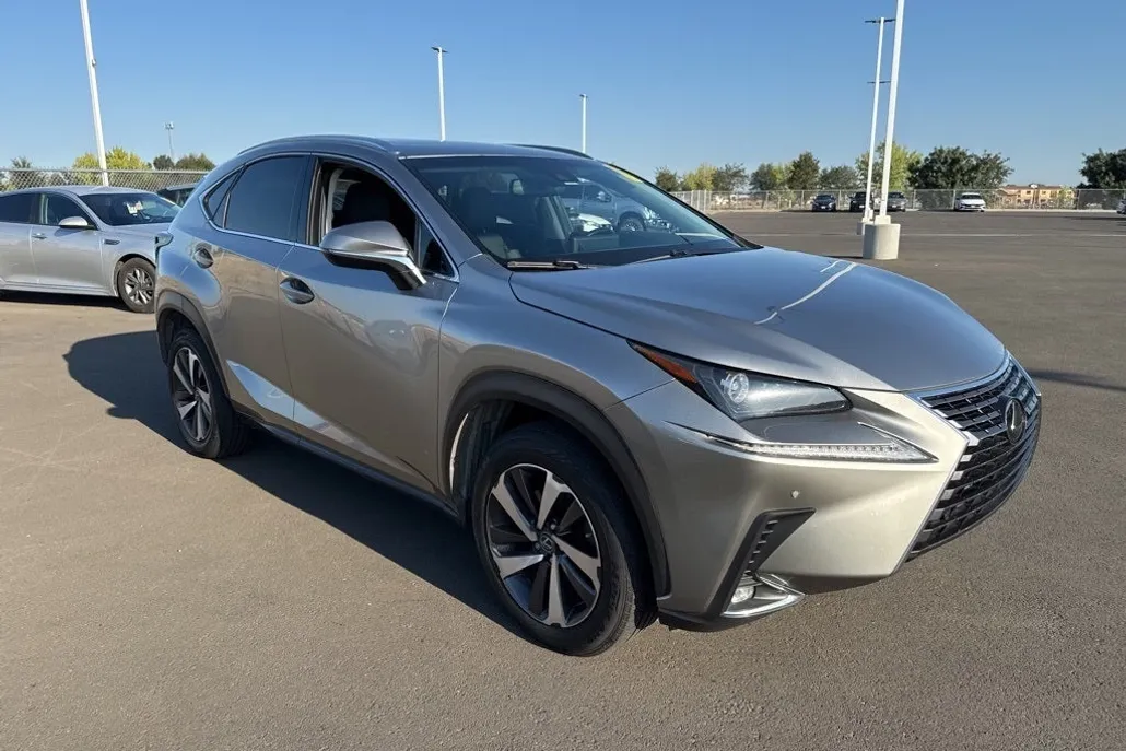 2019 Lexus NX 300 Luxury photo 1