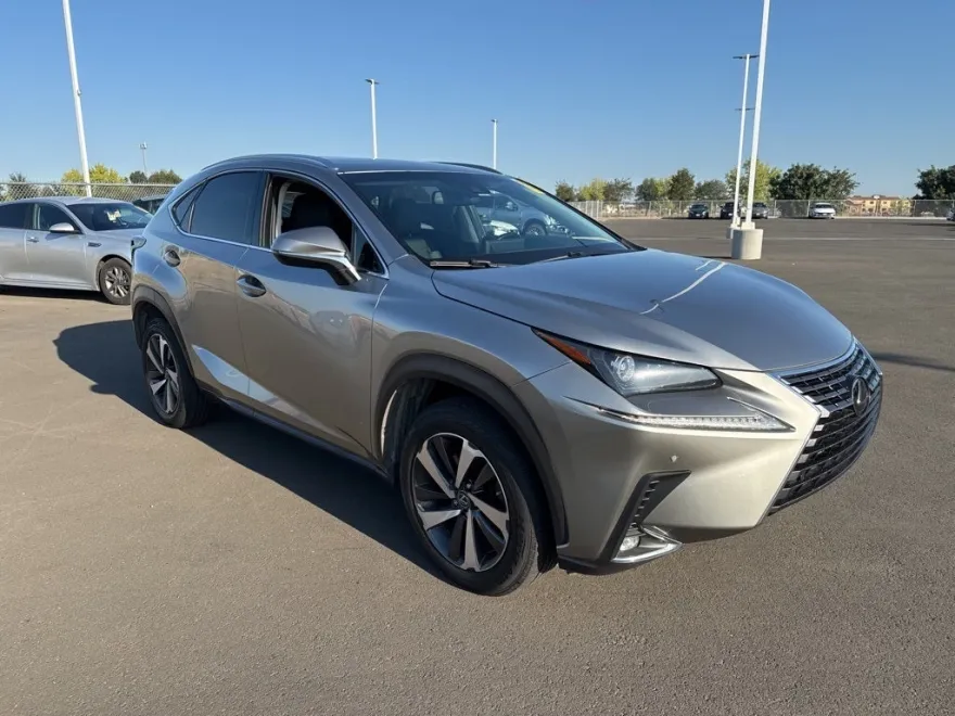 2019 Lexus NX 300 Luxury photo 1
