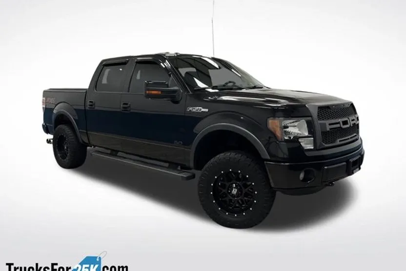 2013 Ford F-150 photo 1