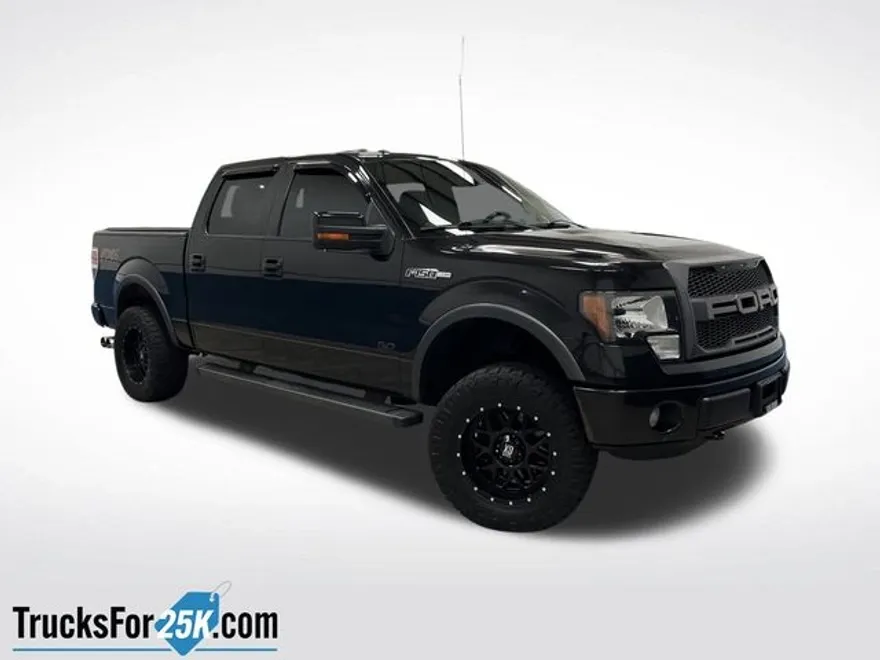2013 Ford F-150 photo 1