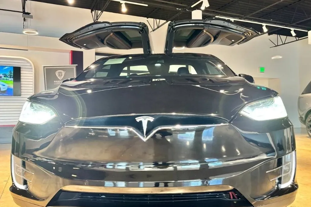 2019 Tesla Model X photo 1