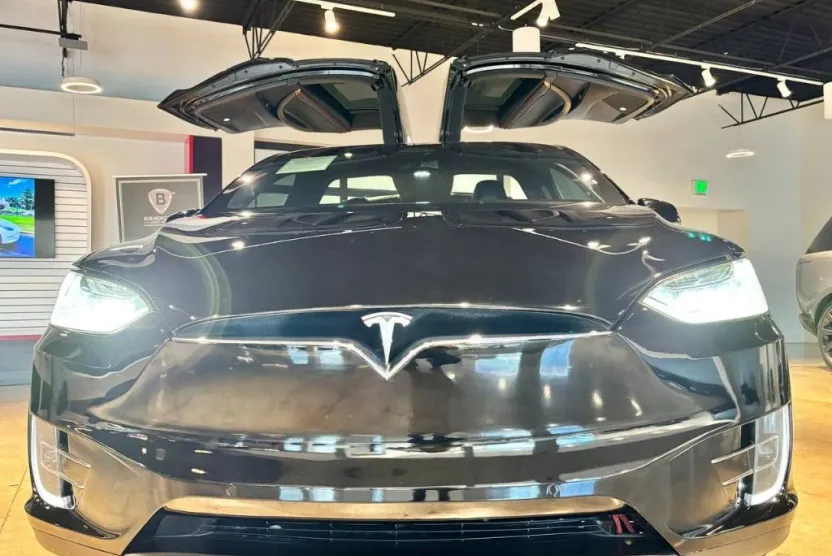 2019 Tesla Model X photo 1
