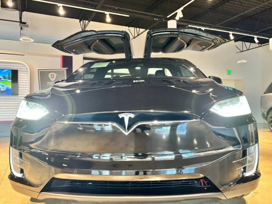 2019 Tesla Model X photo 1