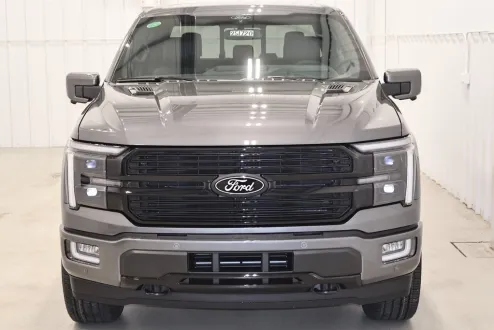2025 Ford F-150 Platinum photo 3