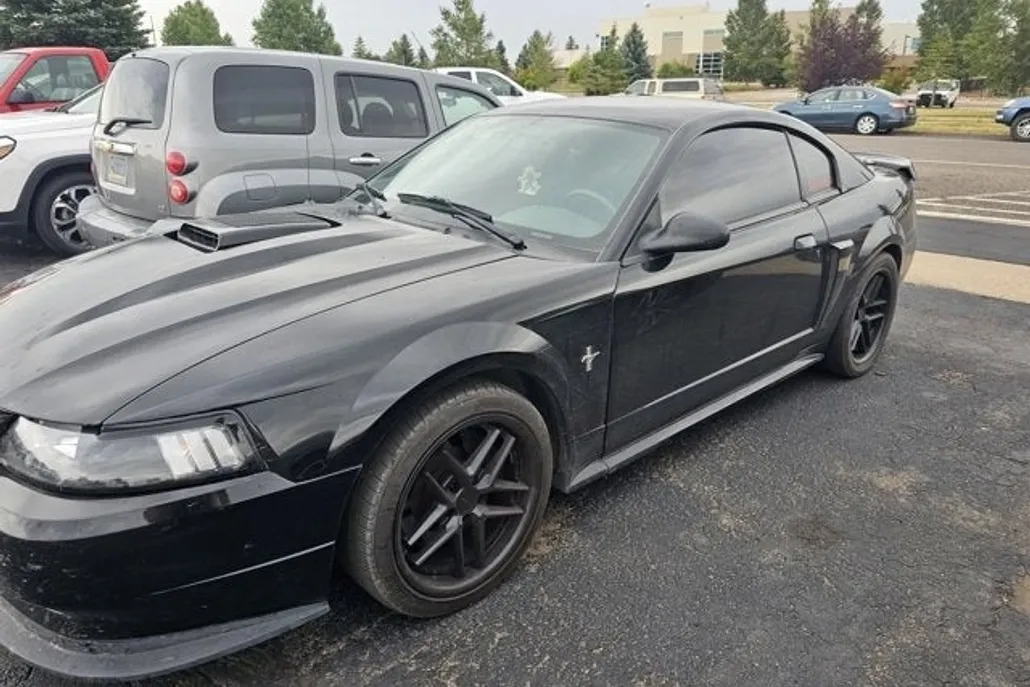 2003 Ford Mustang Premium Mach 1 photo 1