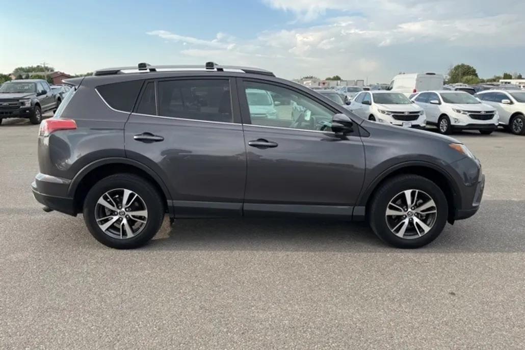 2017 Toyota RAV4 XLE photo 1