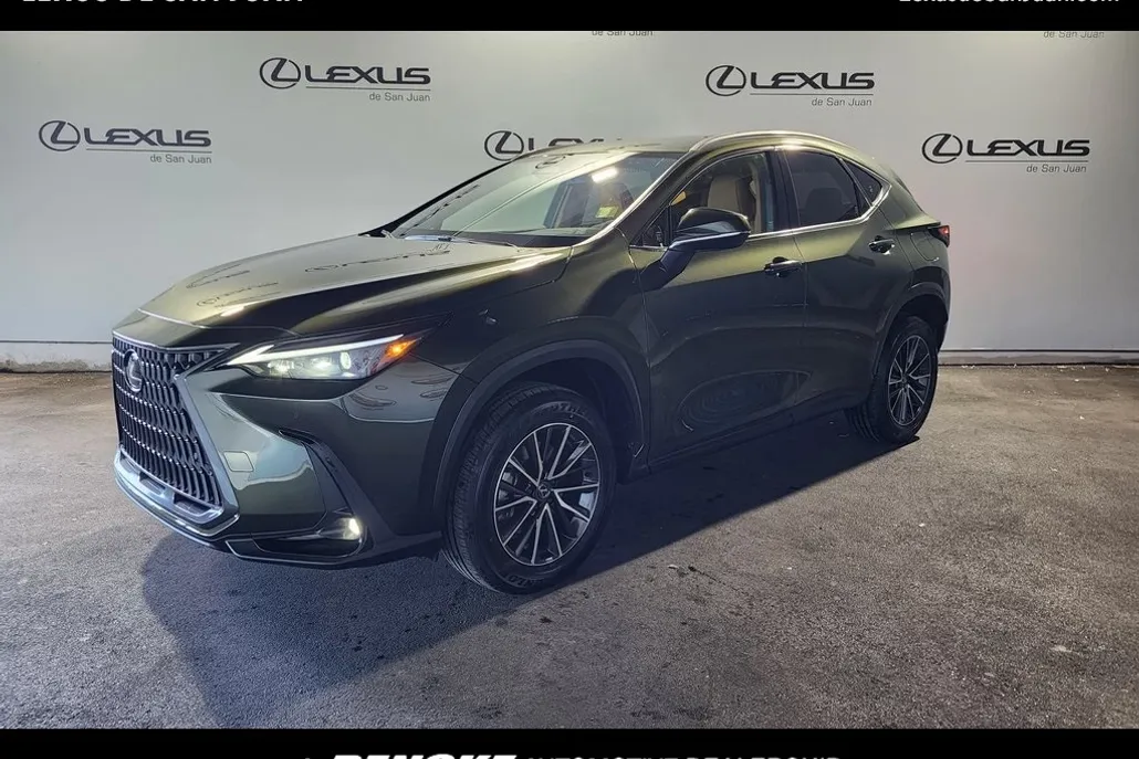 2025 Lexus NX 250 photo 1