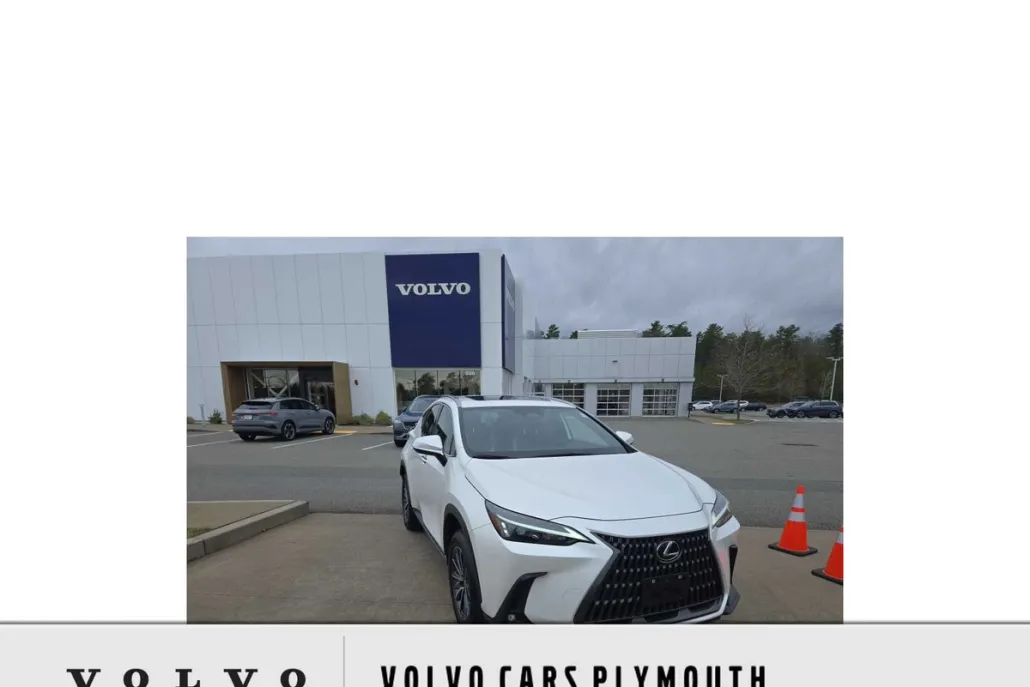 2022 Lexus NX 350 Premium photo 1