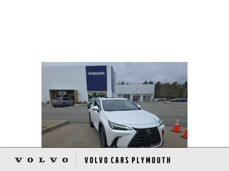 2022 Lexus NX 350 Premium photo 1