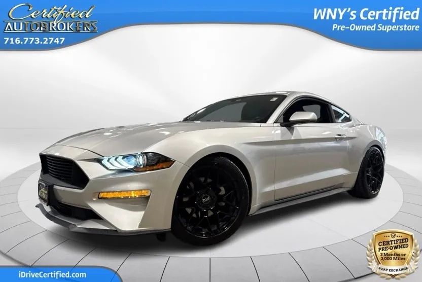 2019 Ford Mustang EcoBoost photo 1