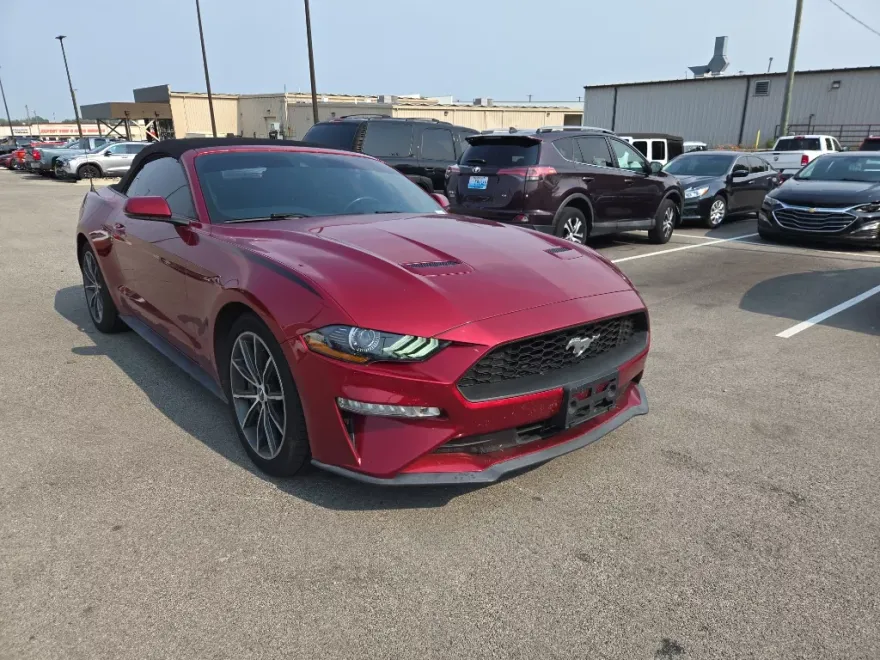 2019 Ford Mustang EcoBoost Premium photo 1