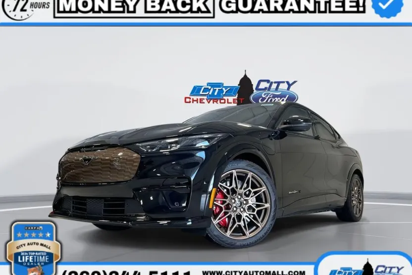 2025 Ford Mustang Mach-E GT photo 1