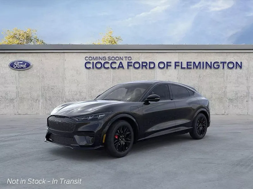 2025 Ford Mustang Mach-E Premium photo 1