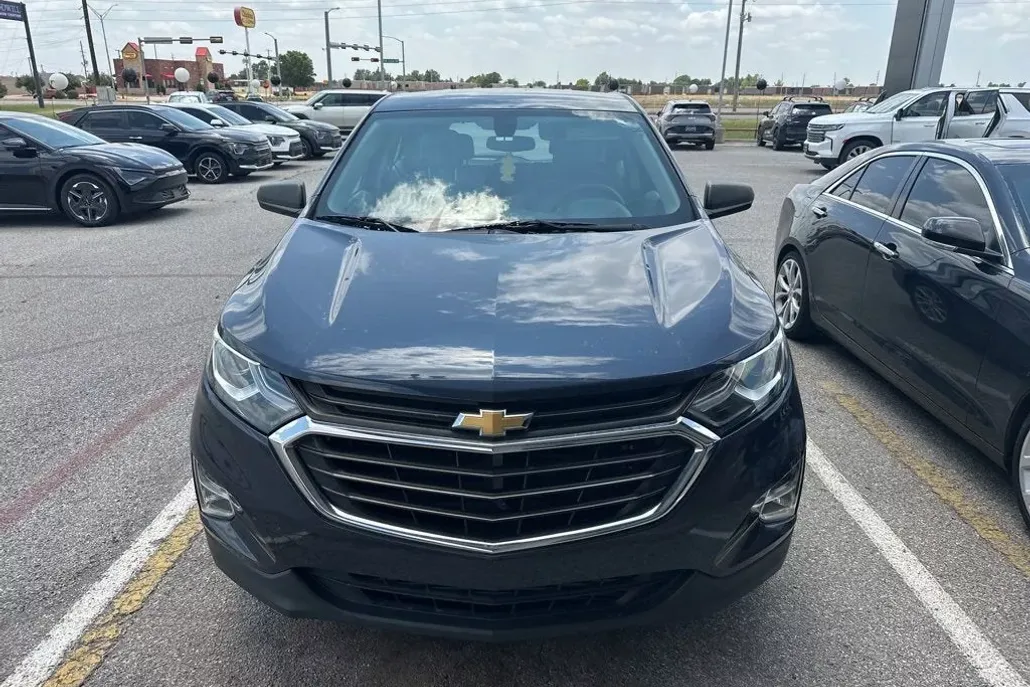 2019 Chevrolet Equinox LS photo 1