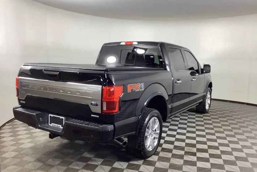 2020 Ford F-150 Platinum photo 1