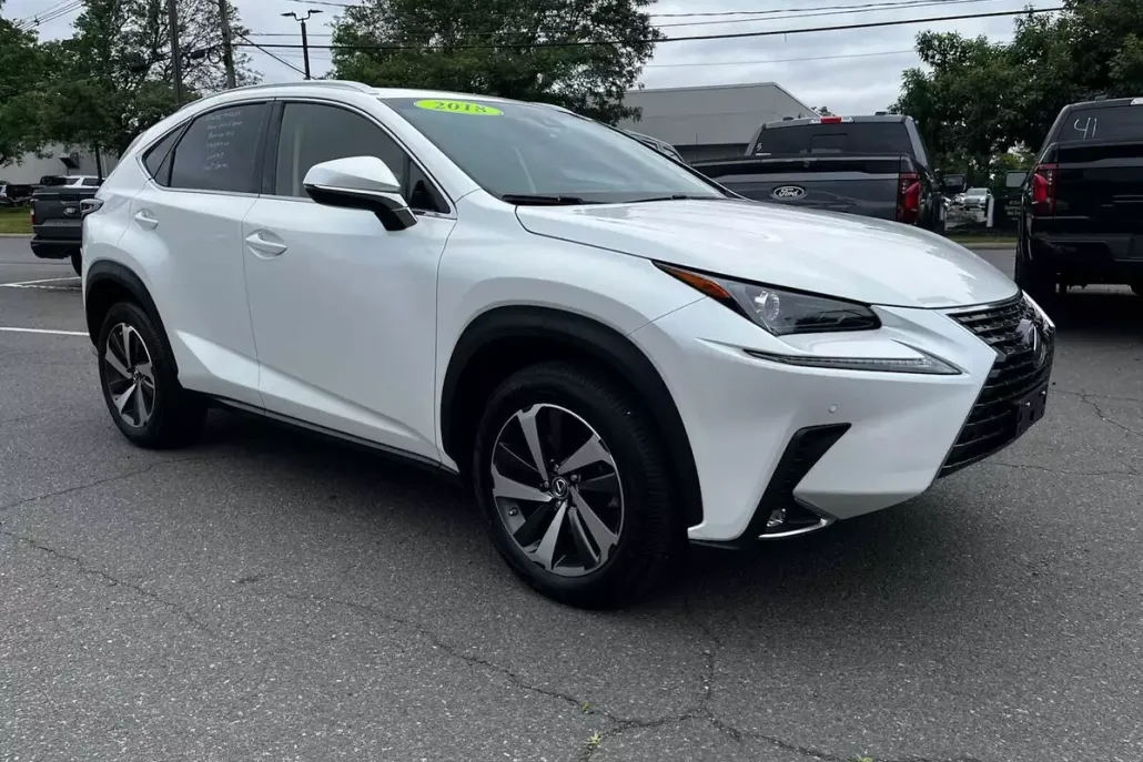 2018 Lexus NX 300 Luxury photo 1