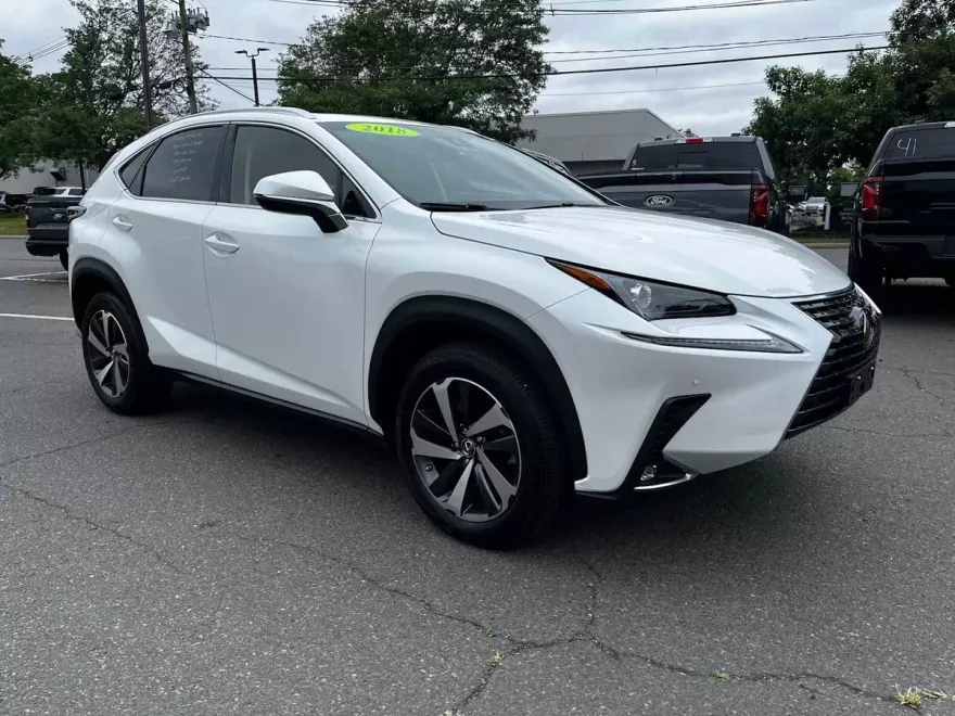 2018 Lexus NX 300 Luxury photo 1